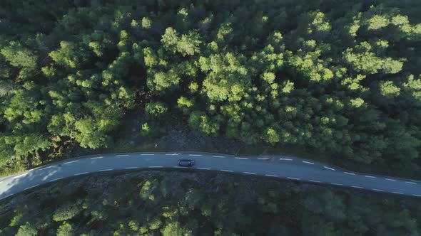 White Car Is Going on Country Road in Green Forest in Norway. Aerial Vertical Top-Down View