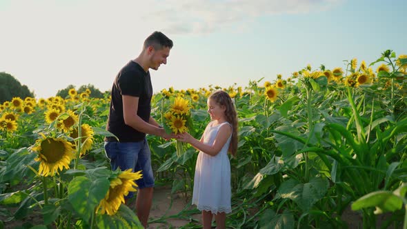 Father man give his daughter a bouquet of sunflowers. Person 30s male and female in a meadow field