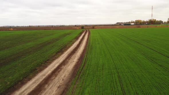 FPV Drone Flying Over a Dirt Road in the Middle of a Farm Field with Young Shoots of Winter Crops