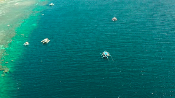 Coral Reef with Turquoise Water Moalboal Philippines