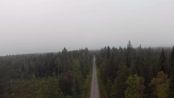 Muddus National Park, Norrbotten County, Swedish Lapland