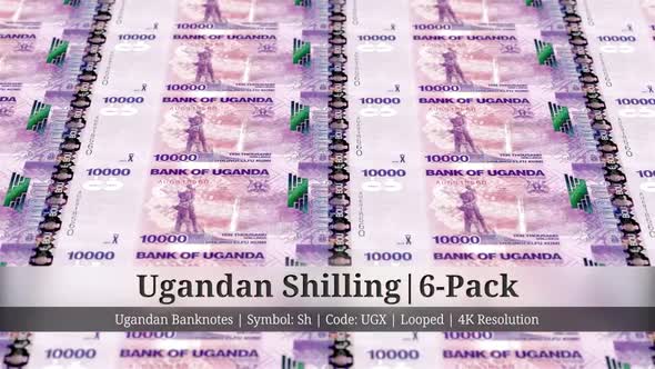 Ugandan Shilling | Uganda Currency - 6 Pack | 4K Resolution | Looped