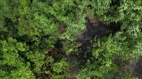 Bush Fire from Above 14