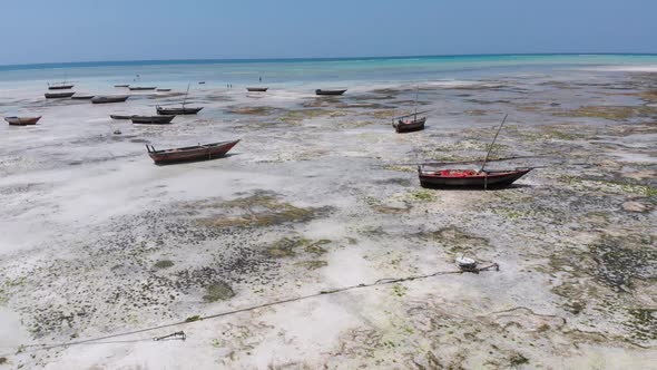 Many Fishing Boats Stuck in Sand Off Coast at Low Tide Zanzibar Aerial View