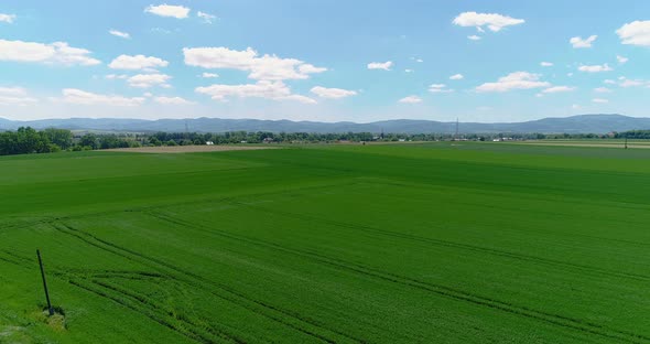 Wide Agricultural Field Aerial View