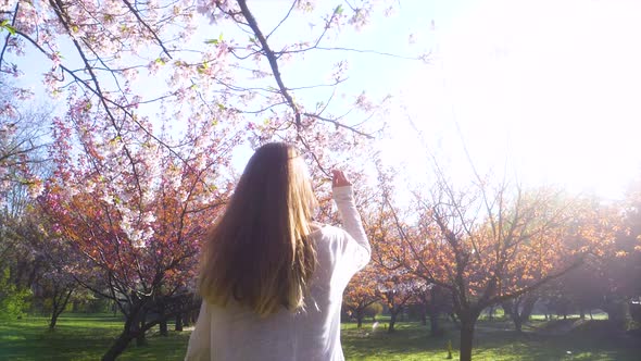 Girl walking in Japanese Garden with blooming trees. Young woman with long hair enjoys spring