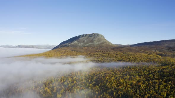 Slowly flying above colorful trees during autumn foliage in northern Finland on a sunny morning