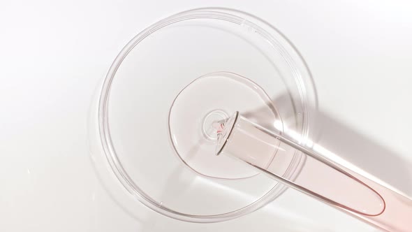 Transparent Fluid Oil From a Test Tube is Poured Into Petri Dishes alt