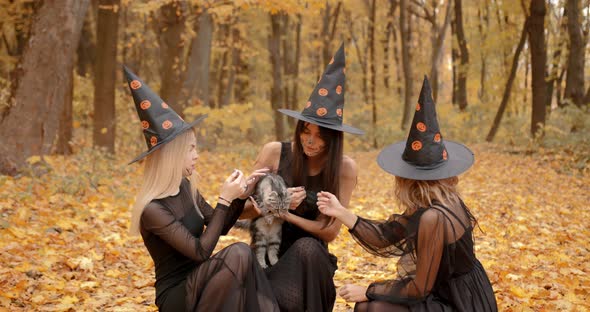 Three Women Dresses As Witches Stroking a Cat