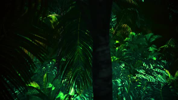 Adventure In Jungle Summer 03 4K alt