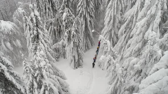 Aerial View Of People Hiking On A Spectacular Winter Day