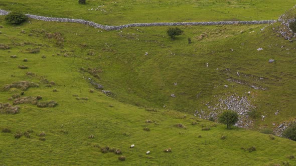 Time lapse of rural agricultural nature landscape during the day in Ireland.