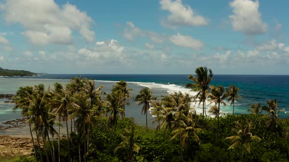 The Coast of Siargao Island at Low Tide