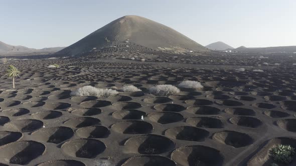 Aerial view of La Geria, Lanzarote Island, Canary Islands, Spain.