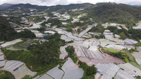 Cameron Highlands, Pahang Malaysia