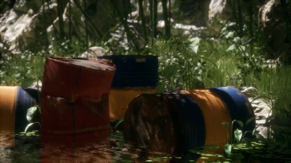 Rusty Barrels in Green Forest alt