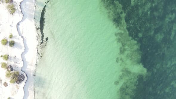 Zanzibar Tanzania  Vertical Video Empty Beach Slow Motion