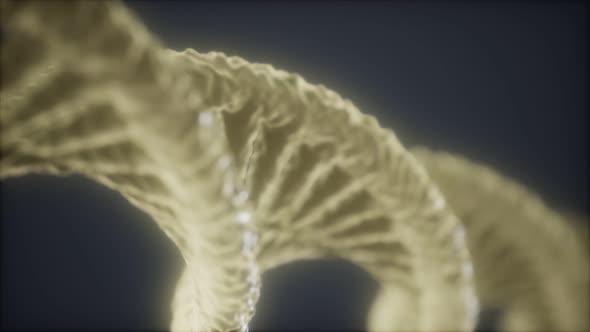 Loop Double Helical Structure of Dna Strand Close-up Animation alt