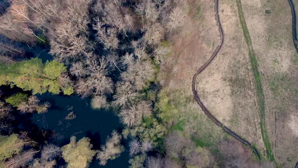 Aerial view of the river between the pines. Flying over a winding riverbed surrounded by treetops