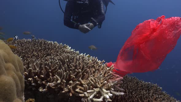 Scuba Diver picking red plastic bag from coral reef