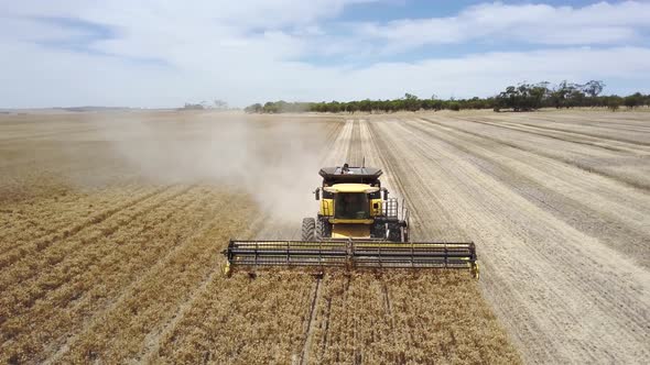 Combine harvesting corn and trailing a plume of dust - aerial front view