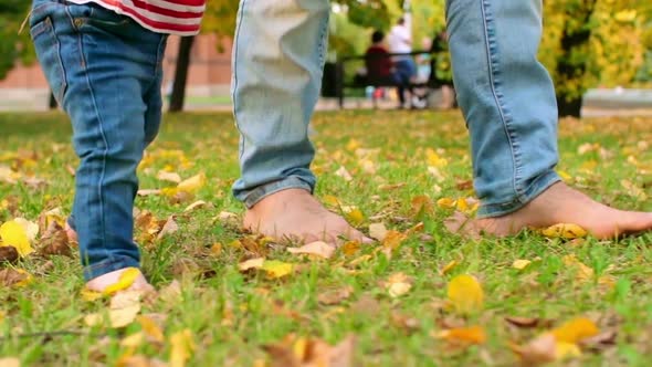 Walking Barefoot in Park in Autumn alt