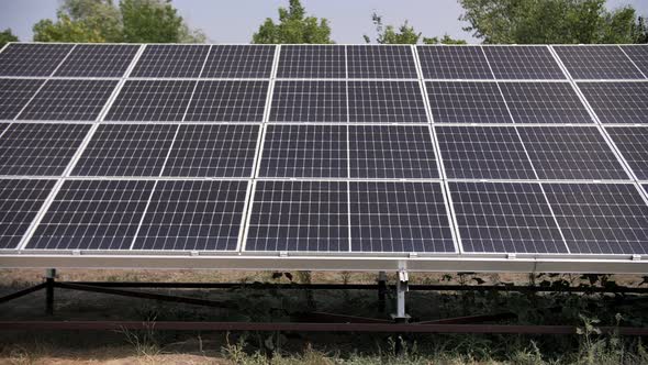 solar panels on the background of trees