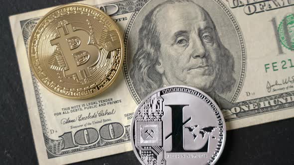 Bitcoin Litecoin Cryptocurrency Equivalent To Dollar a Banknote of Hundred Units