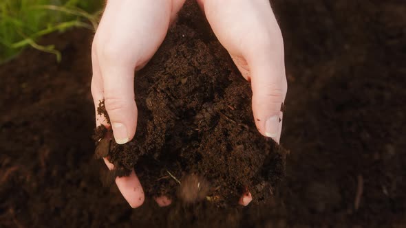 Touching Dry Ground with Hands Closeup Preparing Organic Soil for Planting Seedlings Checking Earth