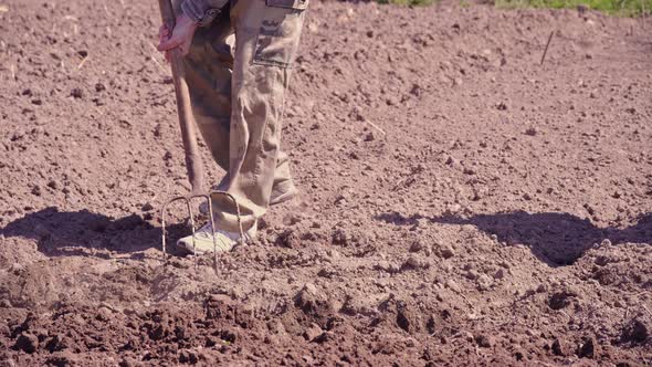 Farmer digs ground with Spading fork in garden. Ecological vegetable growing