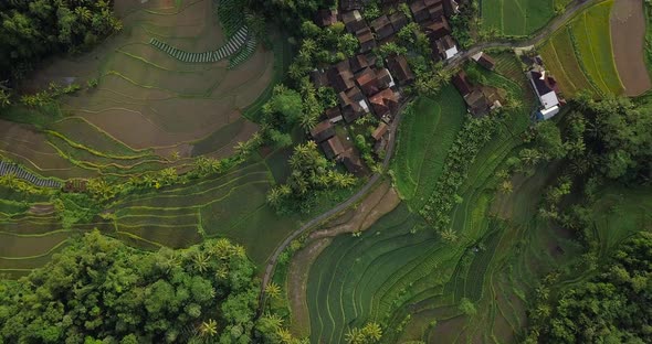 rural view of forest, plantation, village and ricefield in Magelang, Indonesia. Indonesia is an agri