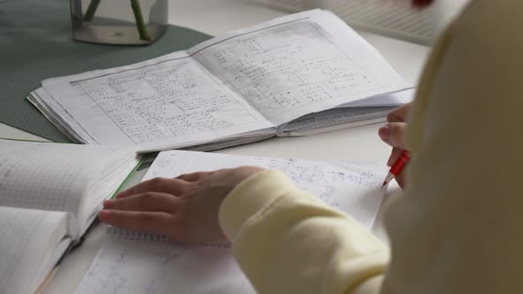 Closeup view on Ukrainian teen girl sitting at a table with notebooks, preparing for a European univ