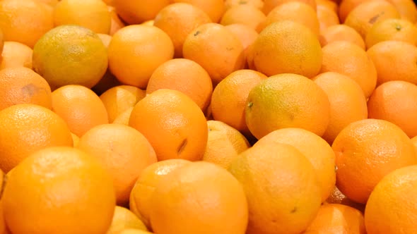 Lots of Oranges