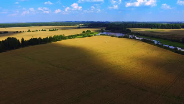 Wheat Field Drone 02