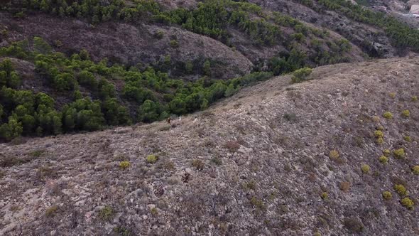 Hunting with Dogs in the Mountains