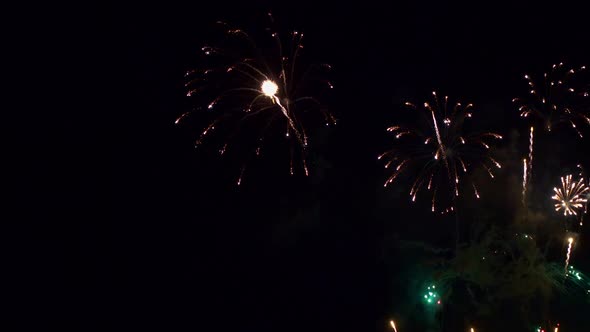 Colorful Firework display at night on sky background alt