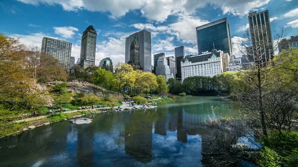 Central Park In New York City