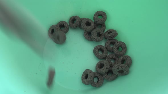 Green Plate Breakfast Cereal Cookie Rings