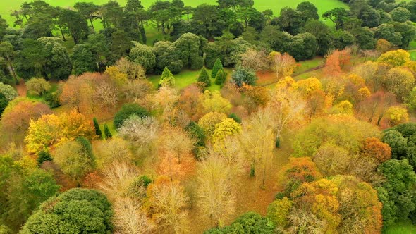 Irish autumn landscape