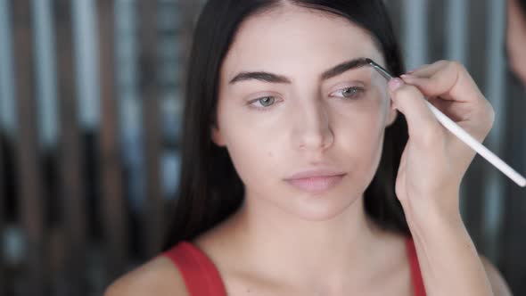 Makeup Artist Apply Makeup on Face of Young Beautiful Brunette