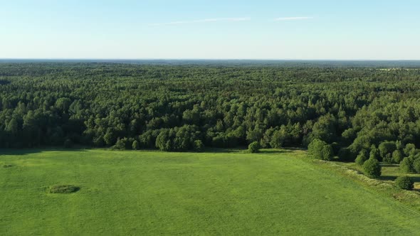 Summer Forest and Field. Wild Nature. Aerial View