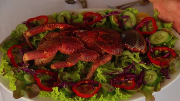Extraordinary Dish  Coconut Crab Palm Thief Cooked Served with Green Salad