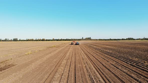 Potato Harvesting