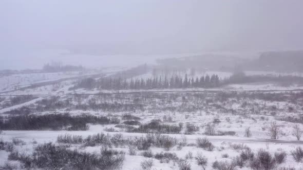 Snow Blizzard At Winter Near The Conifer Forest. - aerial