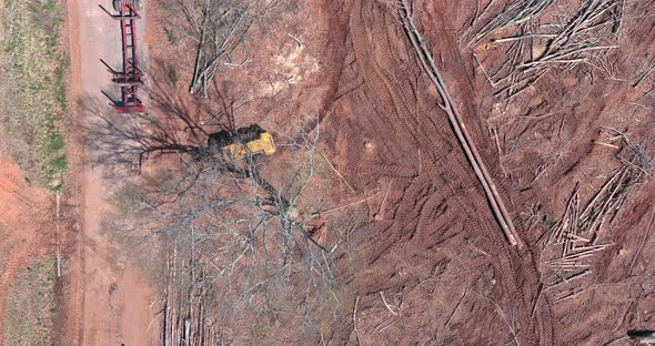 Excavator Grapple Loading Log Trees in Traller Truck During Land Clearing for Construction Housing