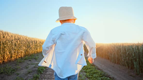 Back View is Silhouette of Boy Running Through Wheat Field and Holding Butterfly and Insect Net in