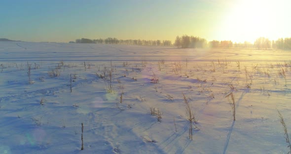 Aerial Drone View of Cold Winter Landscape with Arctic Field, Trees Covered with Frost Snow and