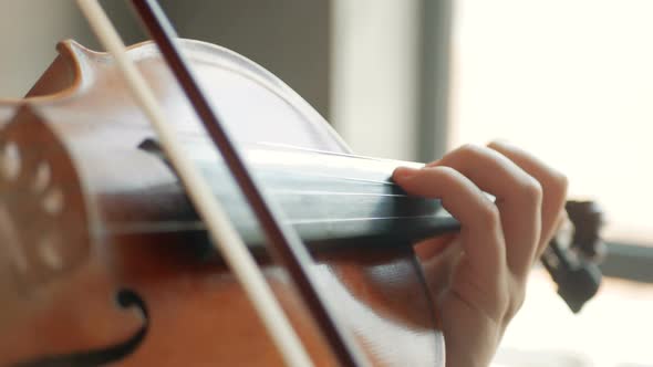 Close-up of the violinist: Musician playing violin classic music