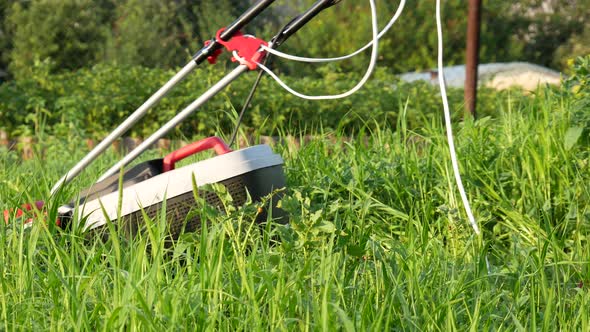 An Electric Lawn Mower Cuts The Grass