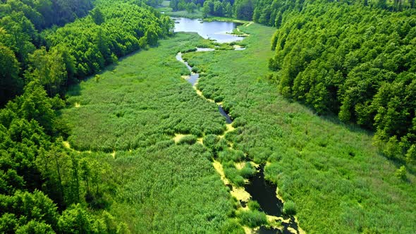 Aerial view of swamps and the river in spring, Poland